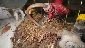 Mouse in Propane Tank Lid at Kentucky Home Inspection